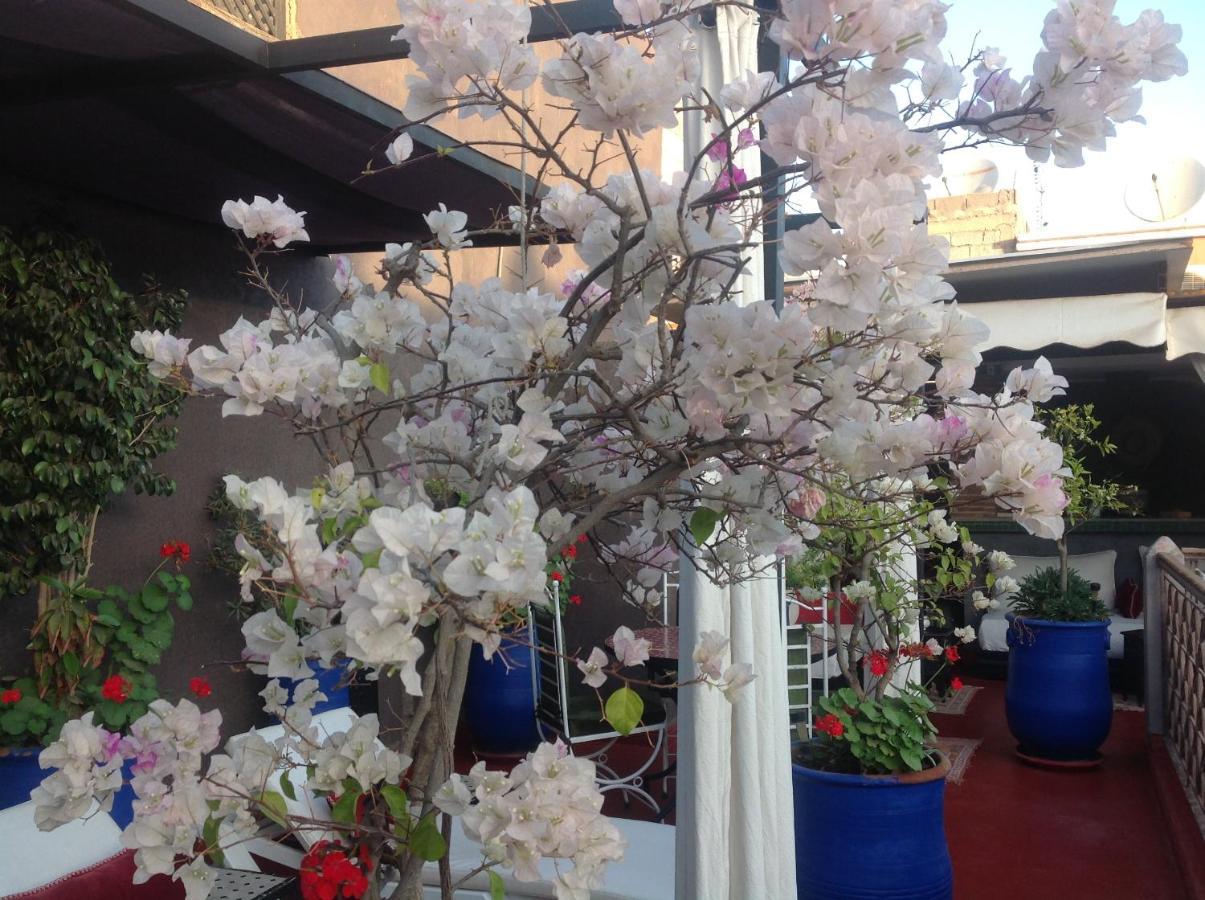 Syba Guest house 3*